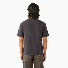Plentywood Short Sleeve T-Shirt - Dickies