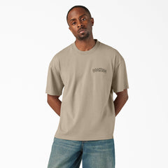 Decaturville T-Shirt - Dickies