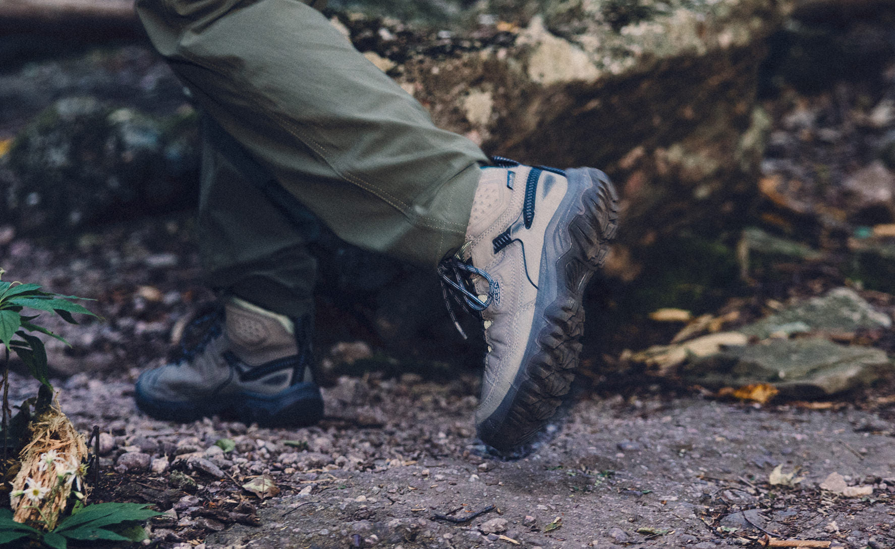 Women's Targhee IV Waterproof Hiking Boot Steel Grey/Lily Pad / Keen / Steel Grey/Lily Pad
