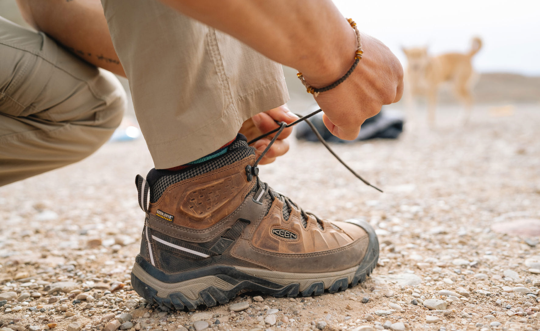 Men's Targhee III Waterproof Mid Wide Black Olive/Golden Brown / Keen / Black Olive/Golden Brown