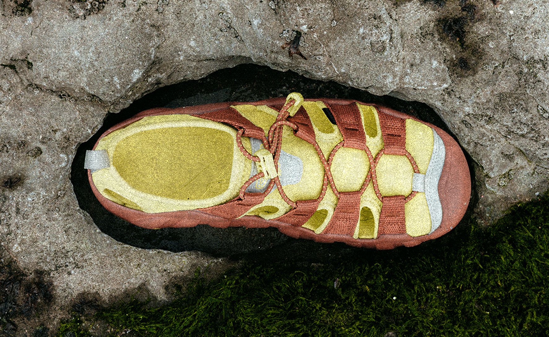 Men's Hyperport H2 Sandal x Hiking Patrol Algae Green / Keen / Algae Green