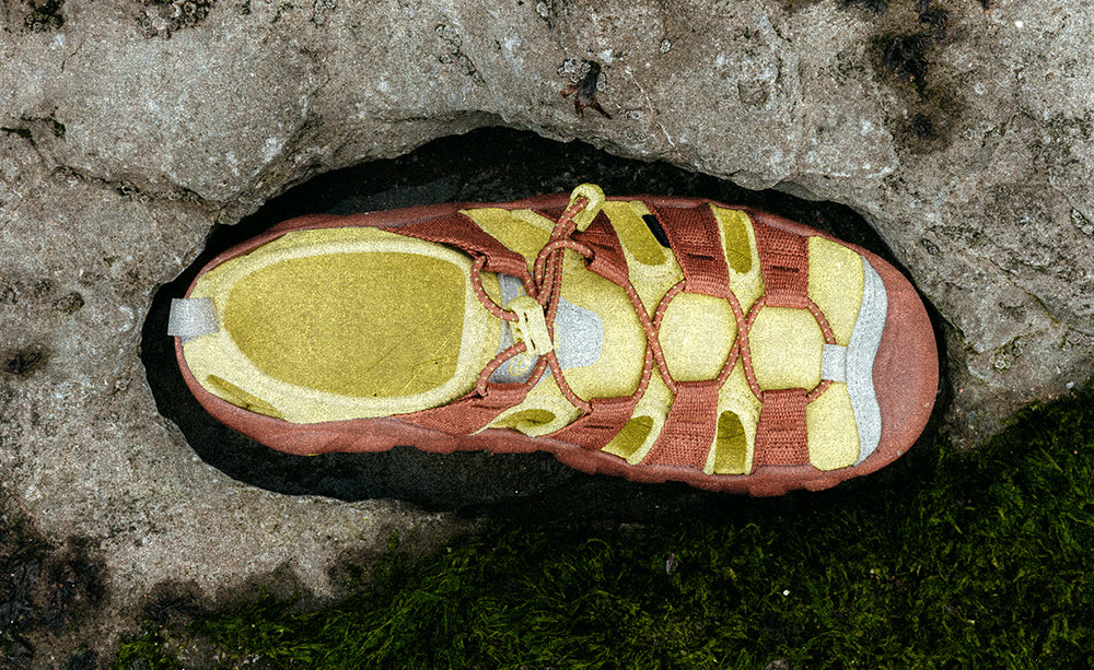 Women's Hyperport H2 Sandal x Hiking Patrol Algae Green / Keen / Algae Green