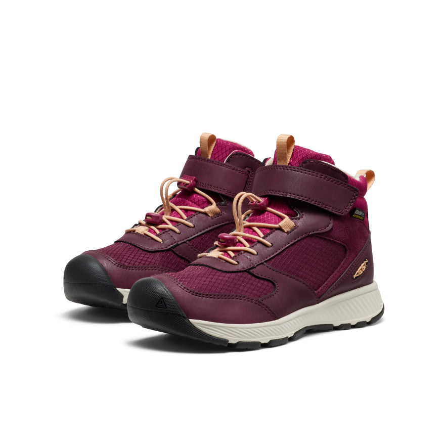Big Kids' Skua Waterproof Boot Fig/Peach Fuzz / Keen / Fig/Peach Fuzz