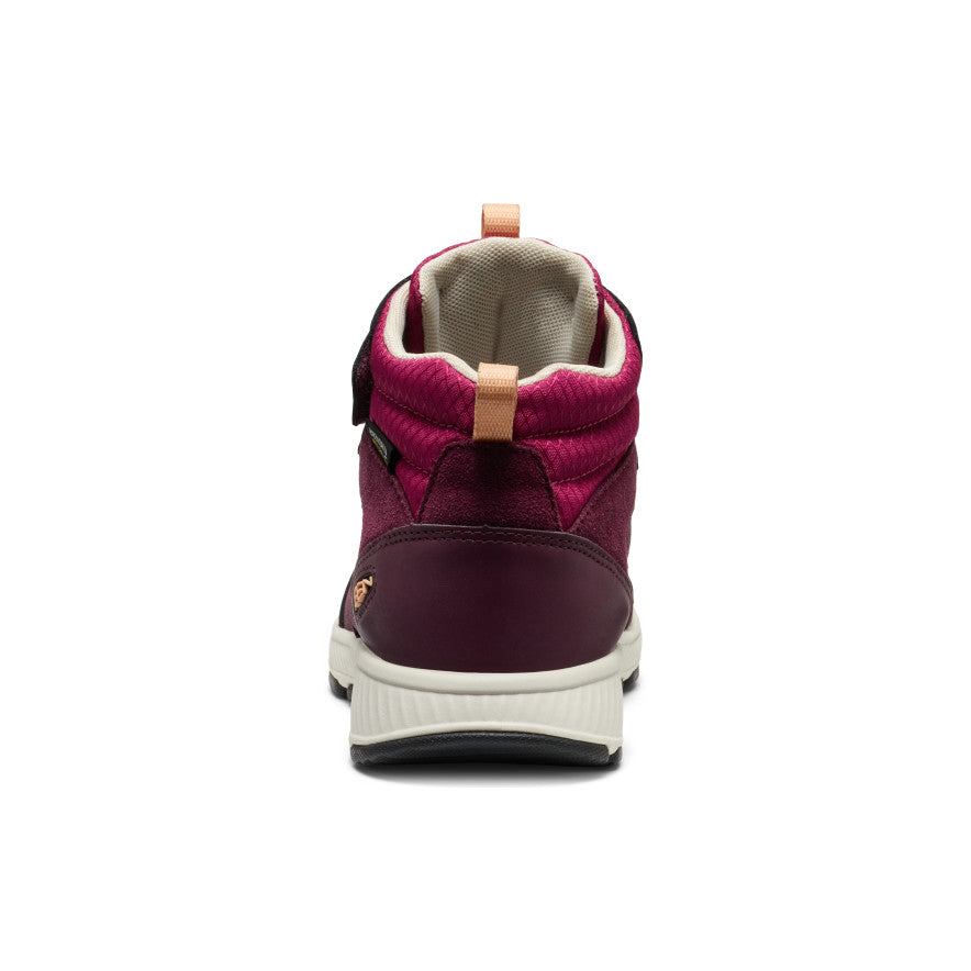Big Kids' Skua Waterproof Boot Fig/Peach Fuzz / Keen / Fig/Peach Fuzz