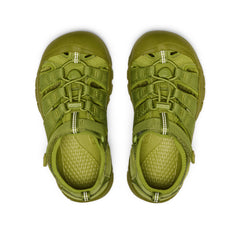 Big Kids' Newport H2 Golden Cypress Monochrome / Keen / Golden Cypress Monochrome