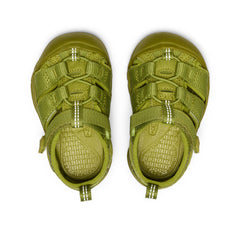 Toddlers' Newport H2 Golden Cypress Monochrome / Keen / Golden Cypress Monochrome