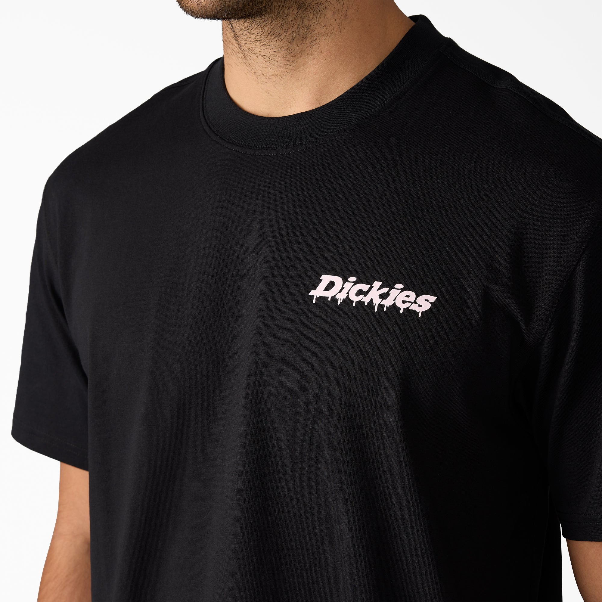 Statesville Graphic T-Shirt - Dickies