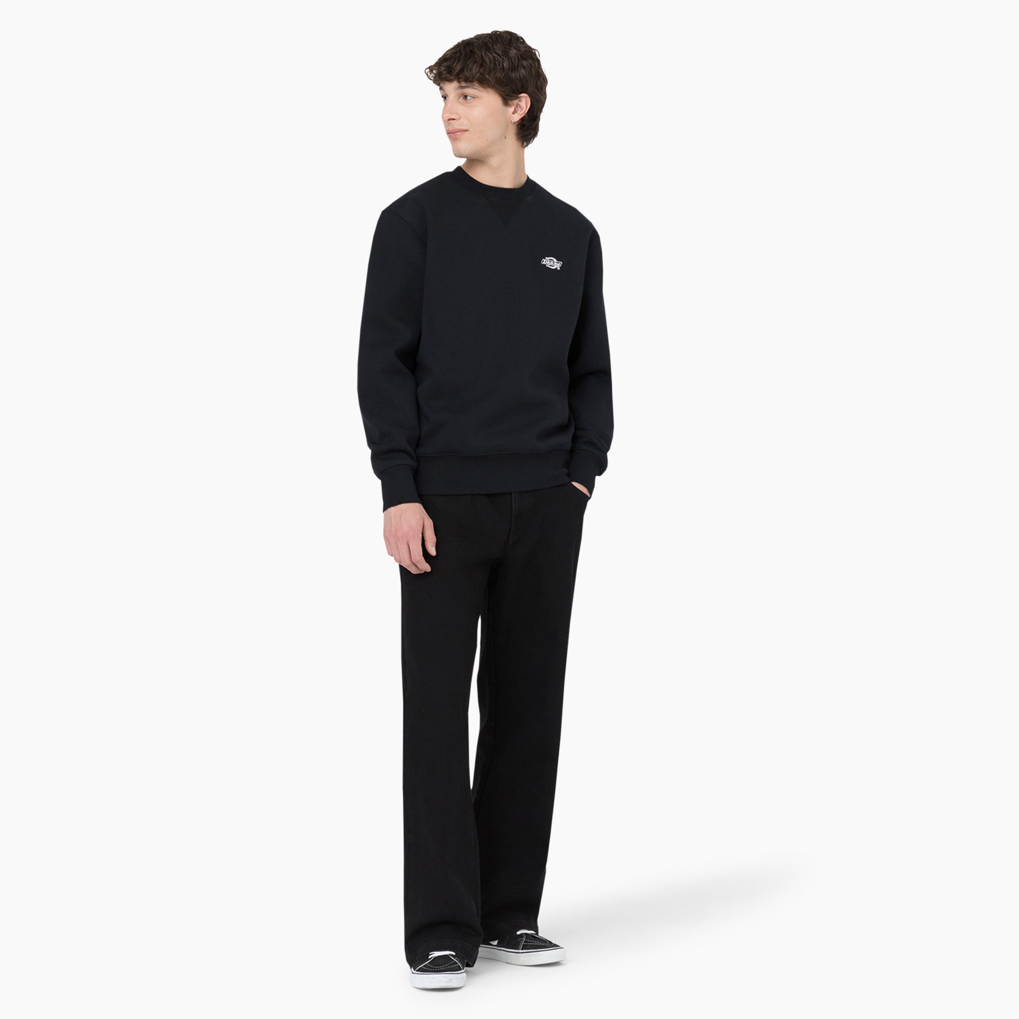 Dickies Skateboarding Wingville Loose Fit Jeans - Dickies
