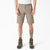 Desert Sand (DS)