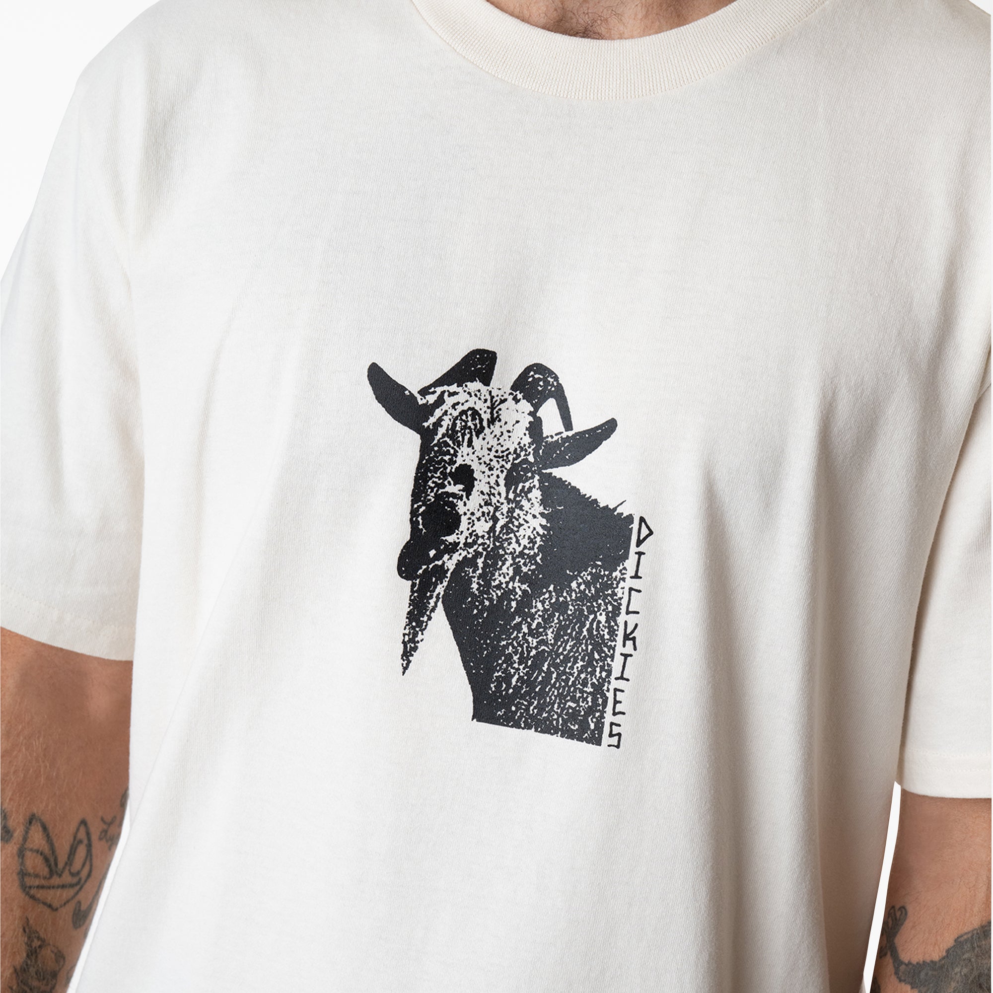 Mike Anderson Graphic T-Shirt - Dickies