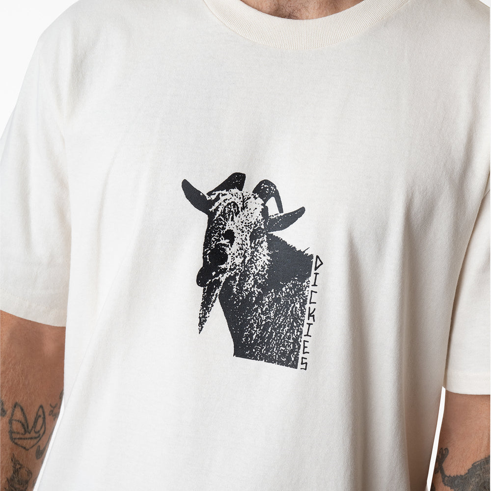 Mike Anderson Graphic T-Shirt - Dickies