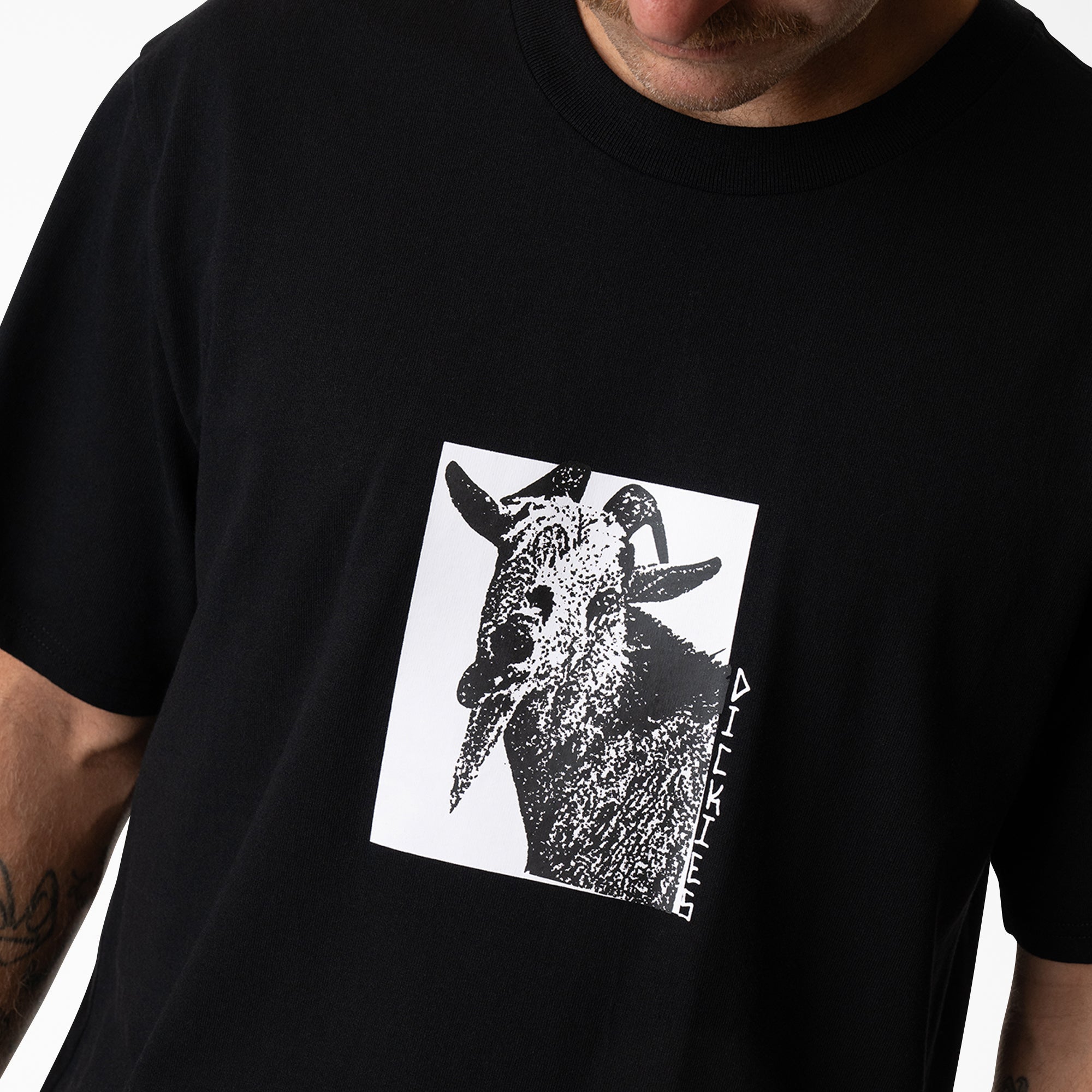 Mike Anderson Graphic T-Shirt - Dickies