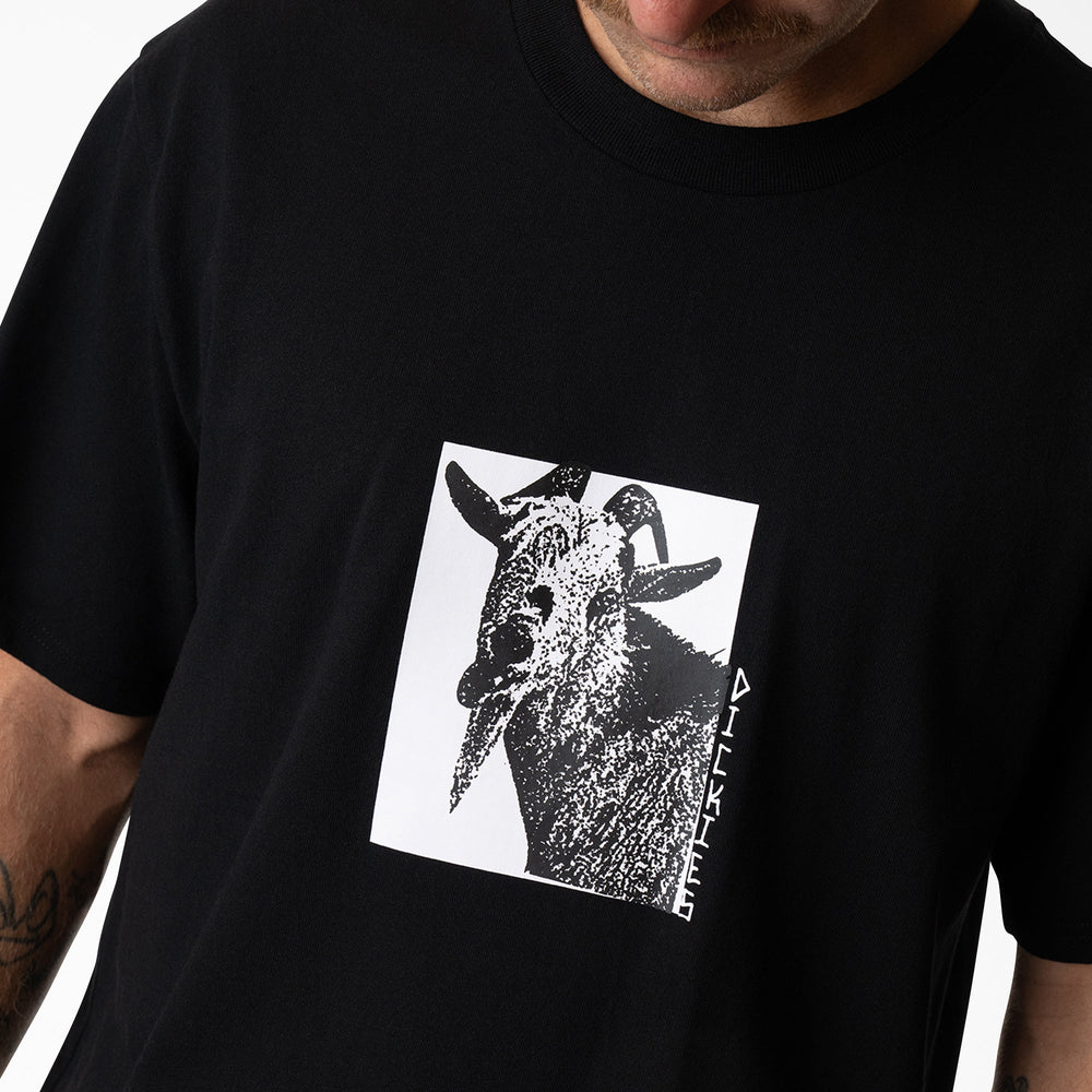 Mike Anderson Graphic T-Shirt - Dickies