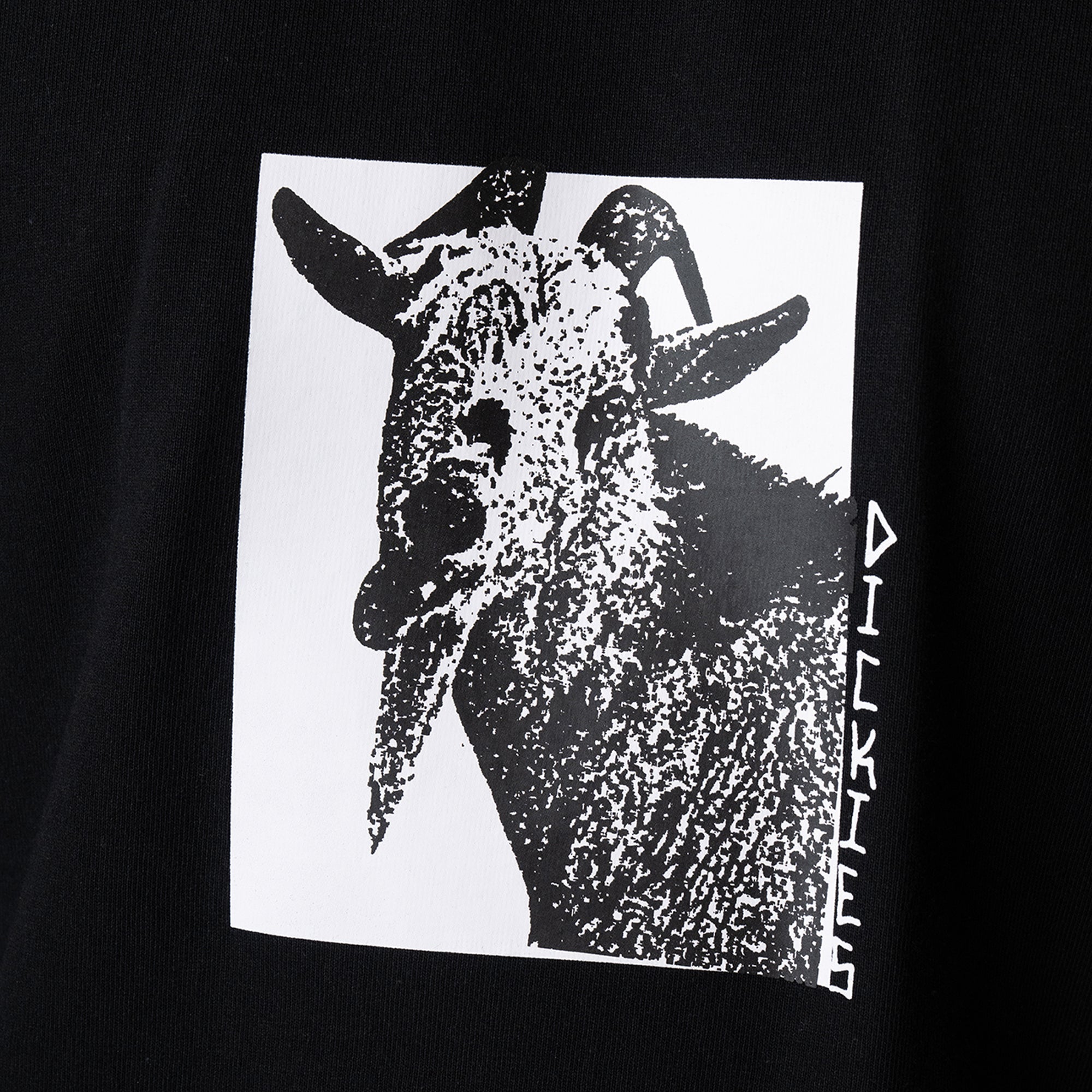 Mike Anderson Graphic T-Shirt - Dickies