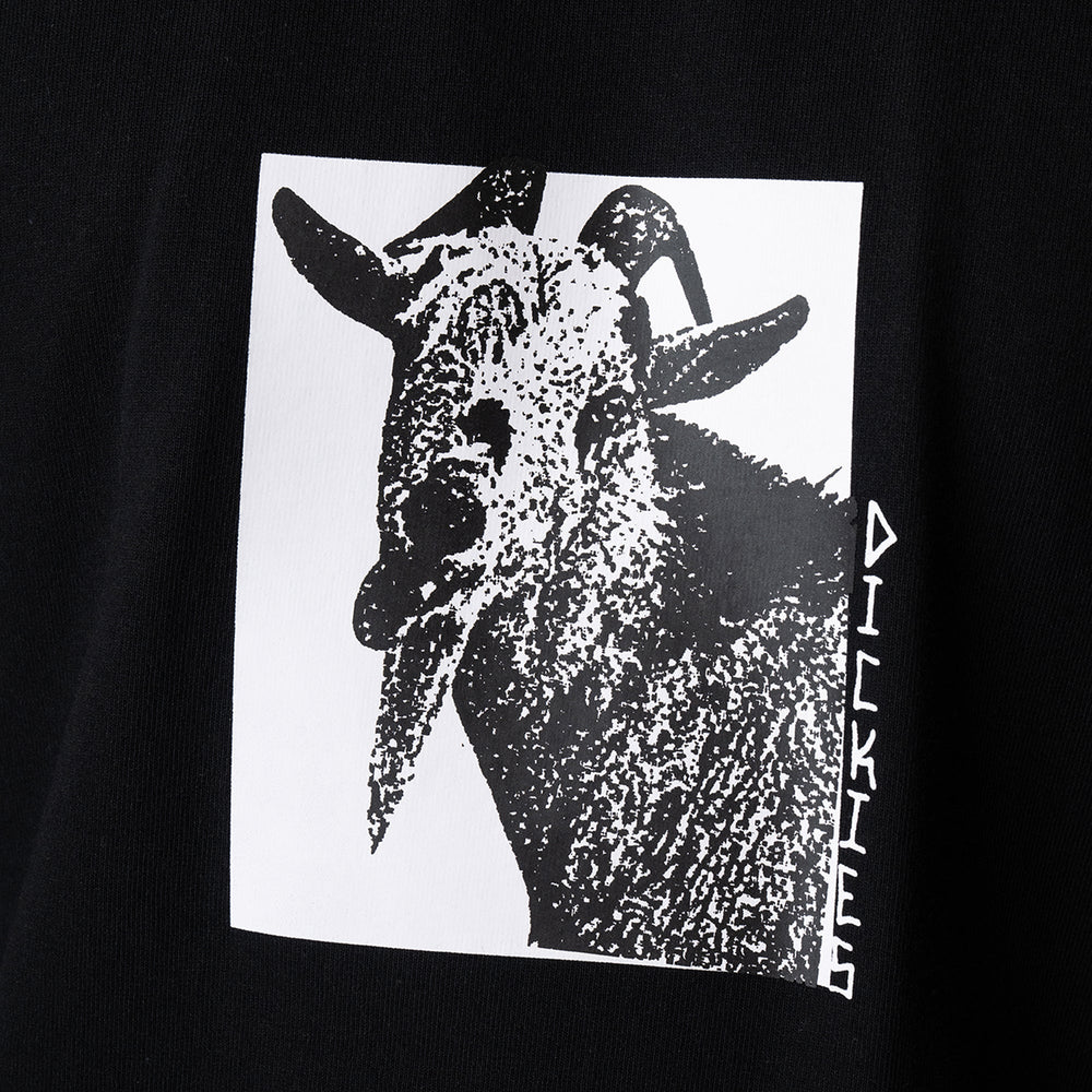 Mike Anderson Graphic T-Shirt - Dickies
