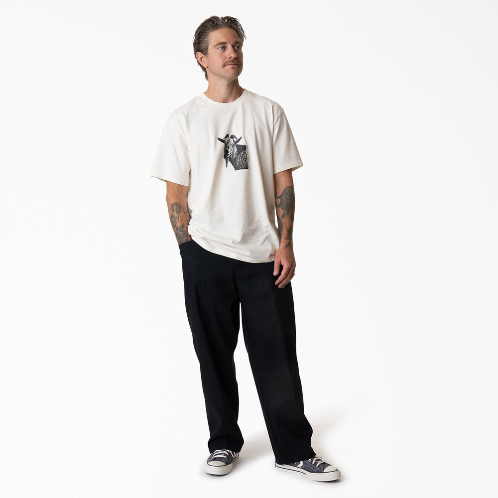 Mike Anderson Loose Fit Work Pants - Dickies
