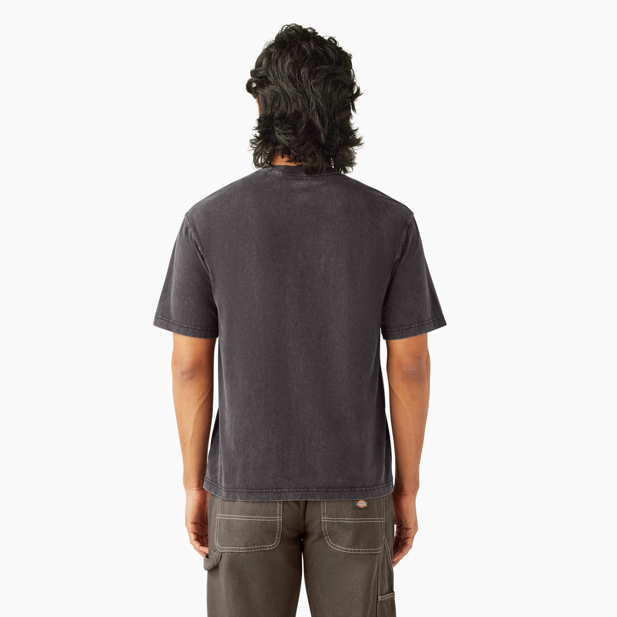 Plentywood Short Sleeve T-Shirt - Dickies