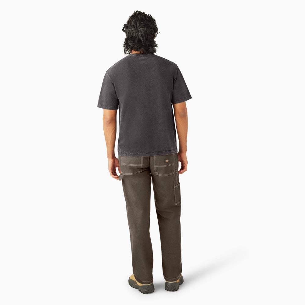 Plentywood Short Sleeve T-Shirt - Dickies