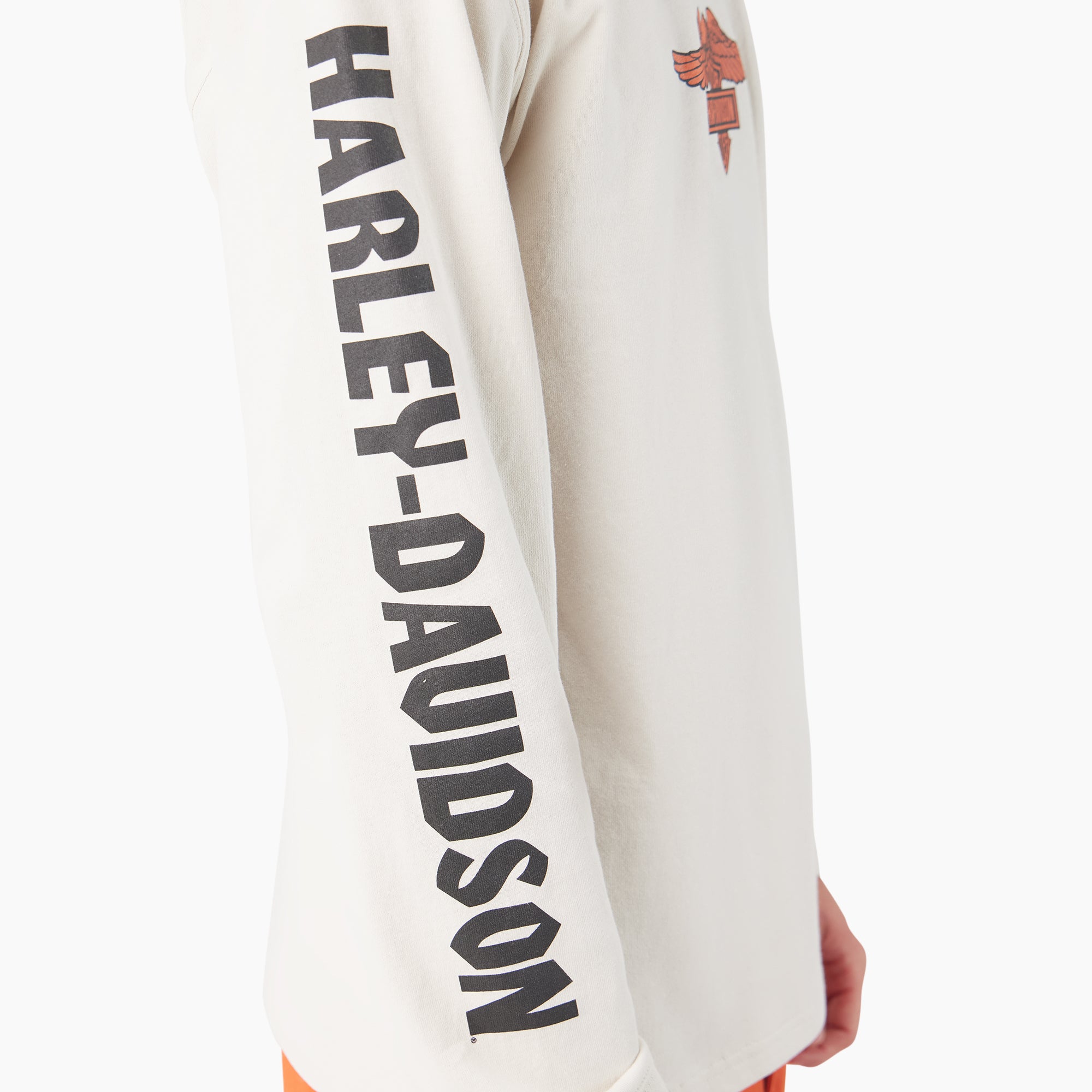 Dickies x Harley-Davidson Heavyweight Long Sleeve Eagle Tee - Dickies