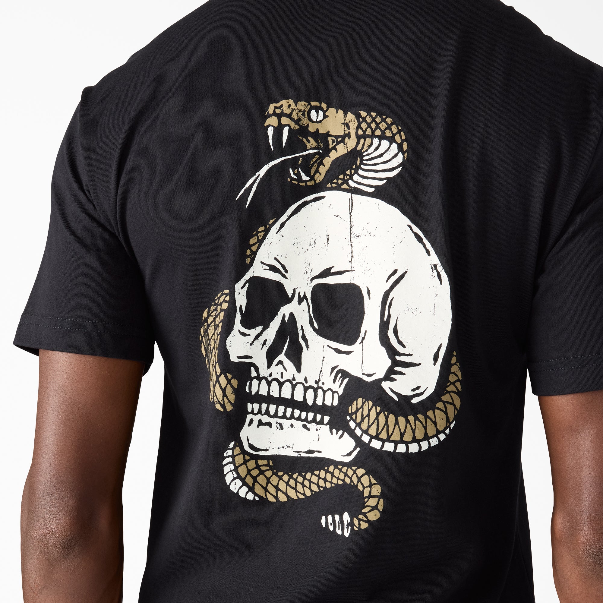 Rattler Graphic T-Shirt - Dickies